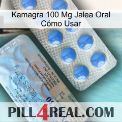 Kamagra 100 Mg Jalea Oral Cómo Usar 39